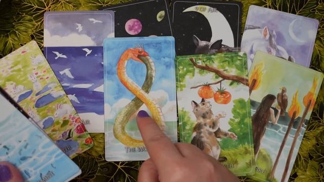WILD CHILD TAROT & ORACLE | First Impressions Walkthrough & Exploration смотреть онлайн