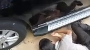 установка порогов на Hover, Haval H6