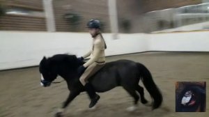 Тренировка на пони