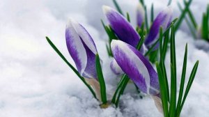 народные приметы 11 марта