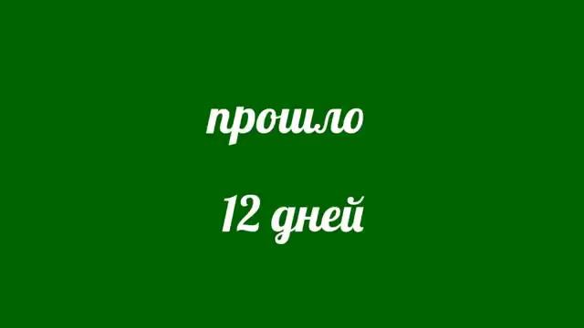 что делать если не успел подготовить пчел к зимовке - осенние работы на пасеке смотреть онлайн