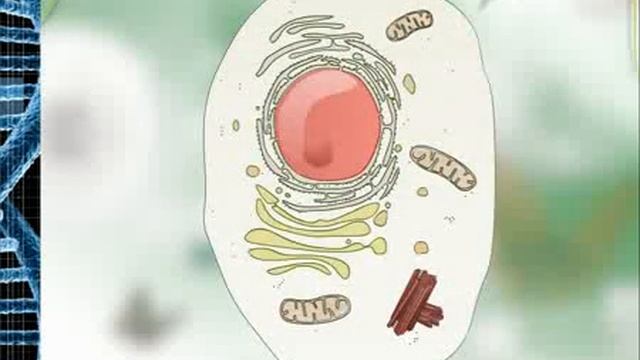 HUJAYRA HAQIDA MALUMOT