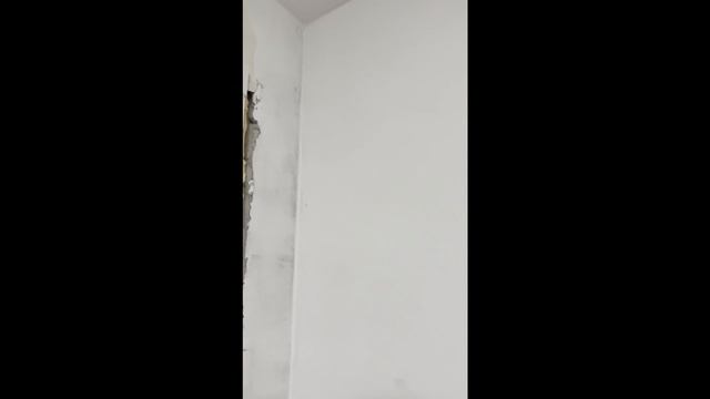 Отзыв от клиента Черная плесень смотреть онлайн