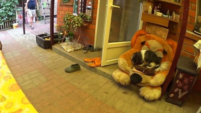 ХОЗЯЙСТВО . смотреть онлайн