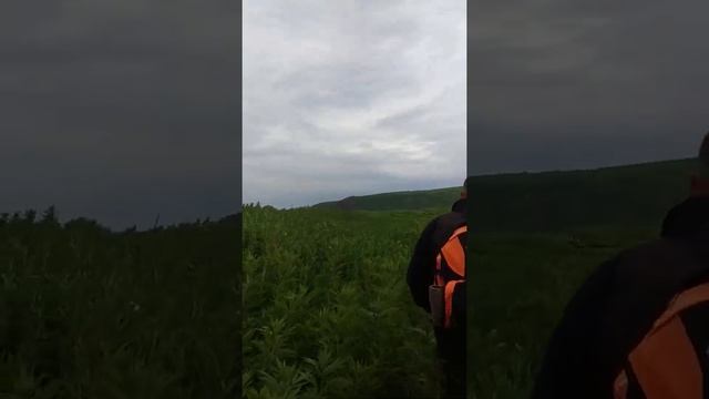 Идём с Димоном на базу, новой дорогой. Парамушир, устье реки Шимоюр. 17.07.2021 г. смотреть онлайн