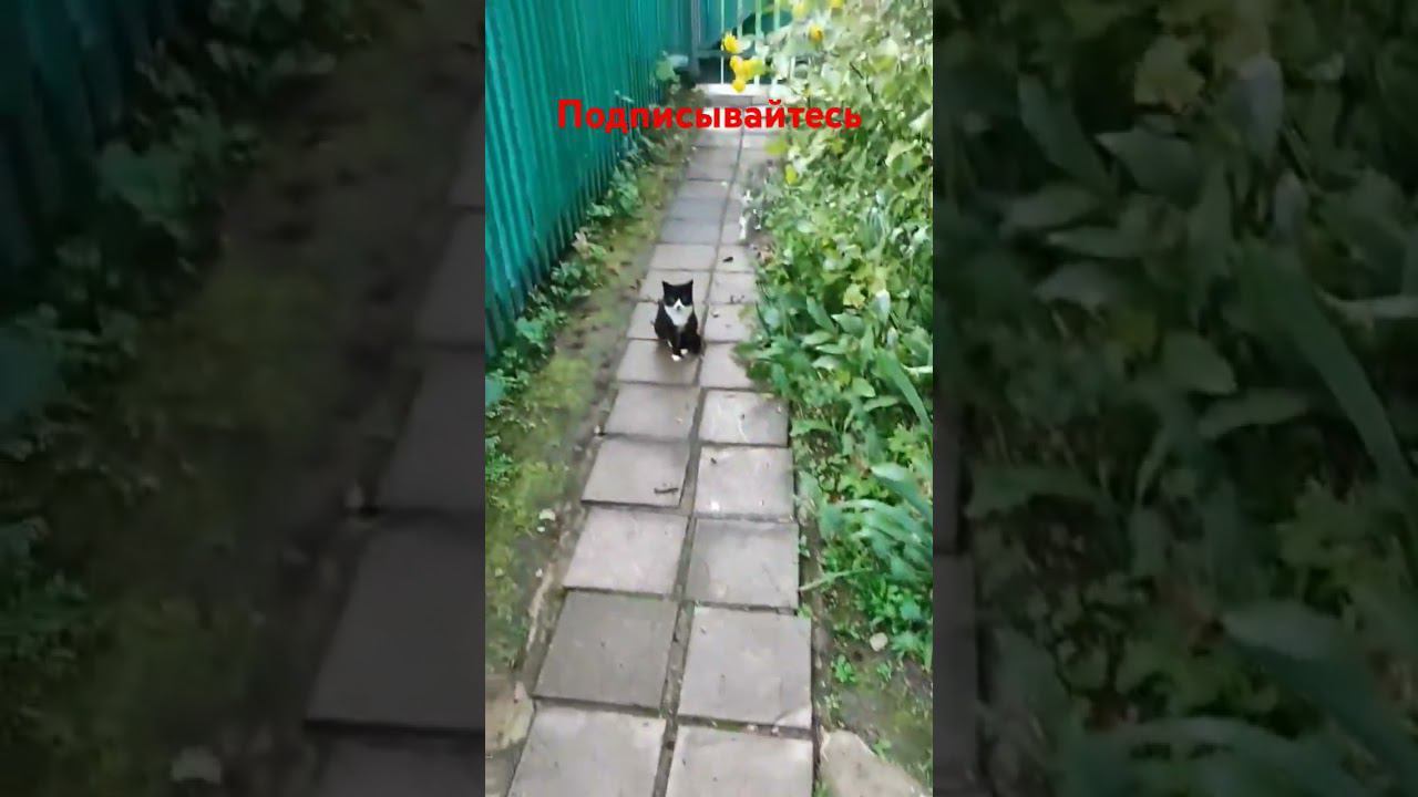 Очередное собрание! смотреть онлайн