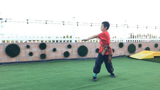 Shaolin Kung Fu Da Hong Quan Part 1 少林大洪拳 教學 Training Ep. 31 смотреть онлайн