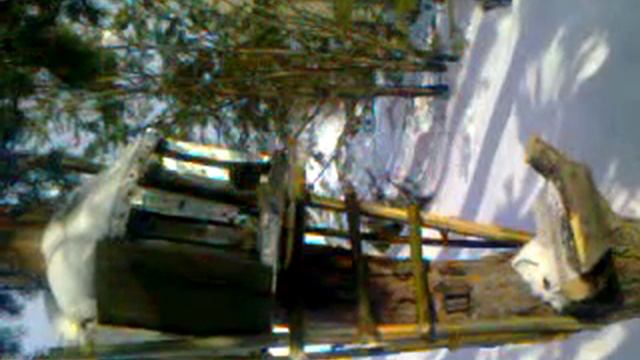 СИНИЧКА В ЛЕСУ смотреть онлайн