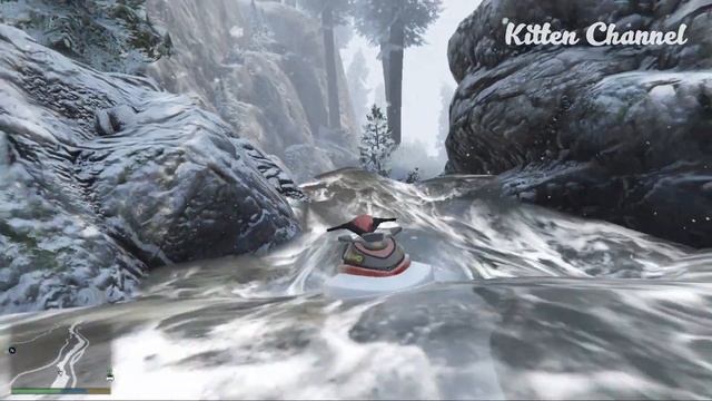 Cat Riding a Jet Ski смотреть онлайн