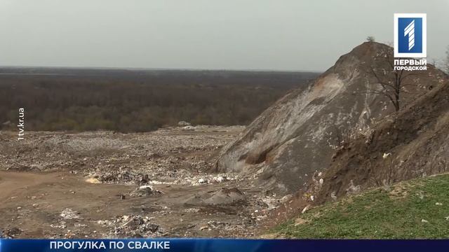 Свалка бытовых отходов «Родина» смотреть онлайн