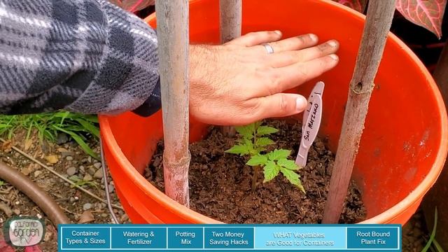 How to Grow Vegetables in Containers // Container Gardening // Self Sufficient Sunday! смотреть онлайн