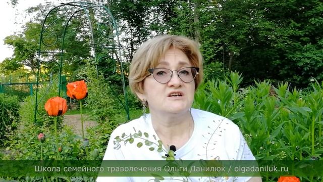 Волшебные пастушья сумка и ярутка смотреть онлайн