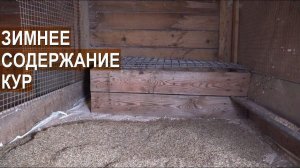 Зимний курятник. Содержание кур зимой. Птицеводческое хозяйство Золотухиных