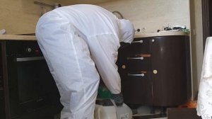 Обработка квартиры от тараканов. Как избавиться от тараканов в квартире, доме навсегда.