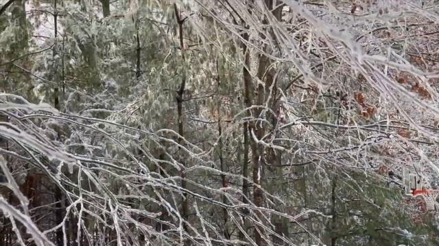 ПАМЯТЬ. МУЗЫКАНT И ИСПОЛНИТЕЛЬ ОЛЕГ МИЛЯЕВ НА СТИХИ ТАТЬЯНЫ ЗОТОВОЙ. смотреть онлайн