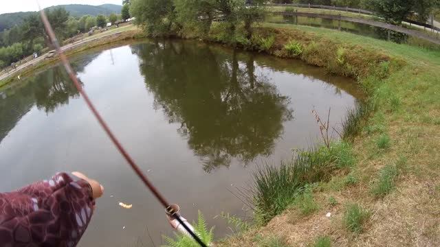 Ловля прудовой форели/Как ловить на силиконовые приманки?/Обзор новых приманок, "JASON CUSTOM LURES смотреть онлайн