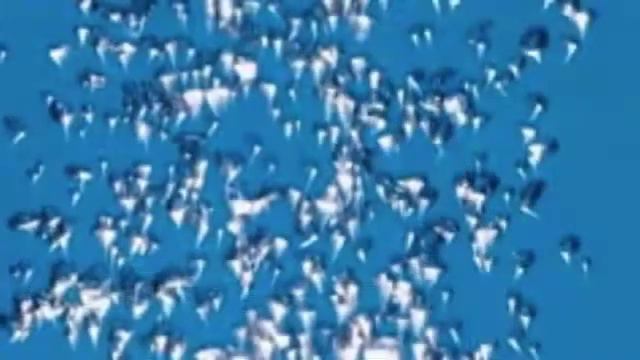 五月雨ワルツ（小林旭 ）カバー：水野渉 смотреть онлайн