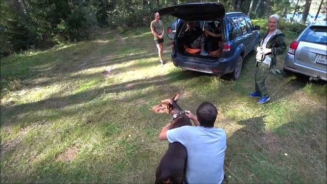 РЫБАЛКА / 8 серия. Клевая рыбалка на спиннинг/ Ловля щуки. смотреть онлайн