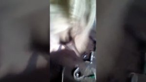 дымит мотор после капиталки и из сапуна вот причина