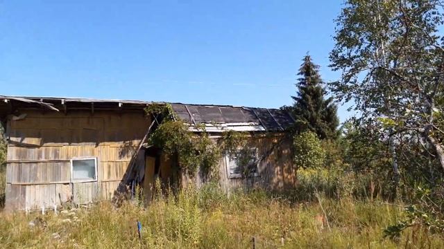 Участок в массиве "Посадников Остров" Киришского р-на ЛО,СНТ "Магистраль" смотреть онлайн