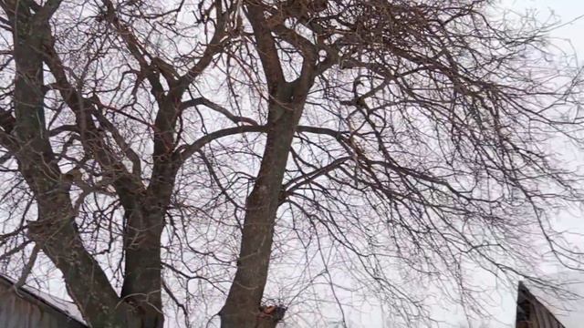Жизнь в деревне/Жизнь простых людей в деревне.Сама себе хозяйка. смотреть онлайн