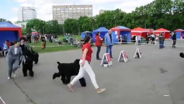 САС-UA "День Победы-2017", Харьков, 09.05.2017, сравнение на ЛС смотреть онлайн