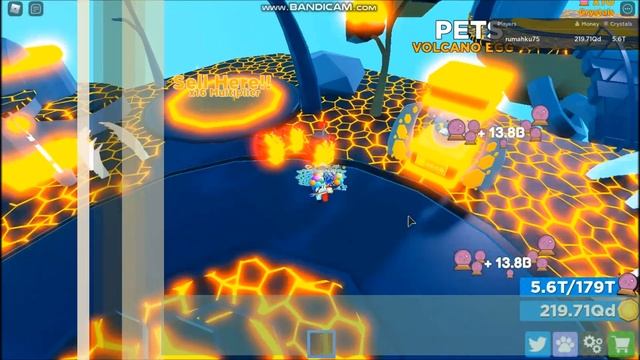 * NEW SECRET PETS * NEW CODES! [BROKEN TV!] Wizard Masters ROBLOX смотреть онлайн