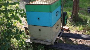 контроль семей после объединения