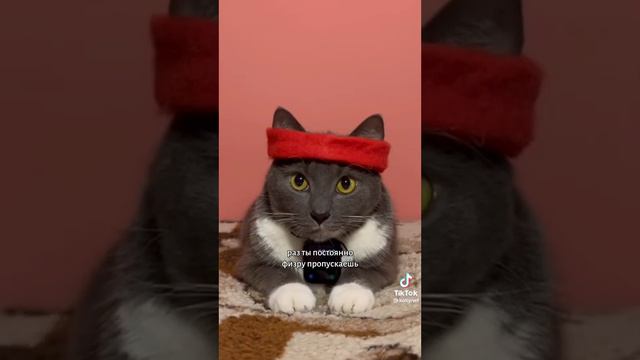 ЕСЛИ БЫ КОТИКИ ХОДИЛИ В ШКОЛУ смотреть онлайн
