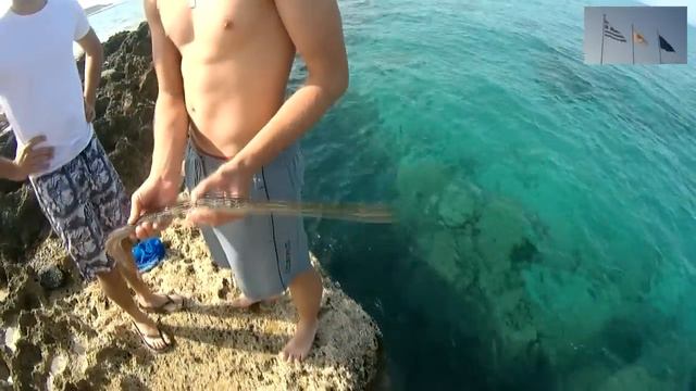 Подводный охотник смотреть онлайн