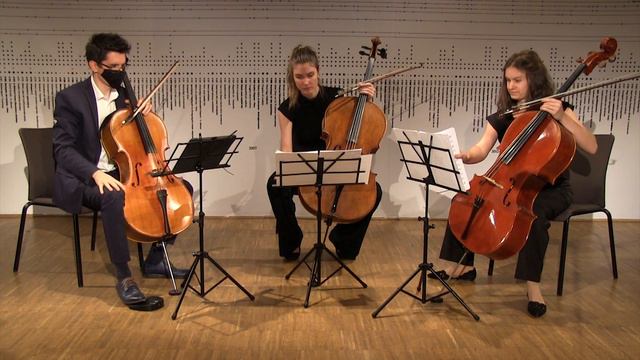 Mozart: Divertimento No. 1 K. 439b performed on three cellos смотреть онлайн