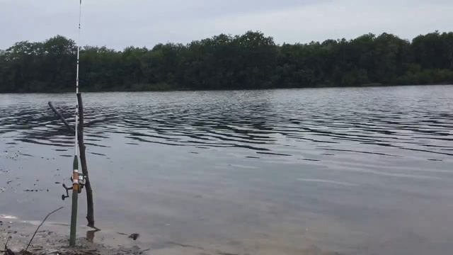 Рыбалка на реке ЛУГА лето 2019 смотреть онлайн