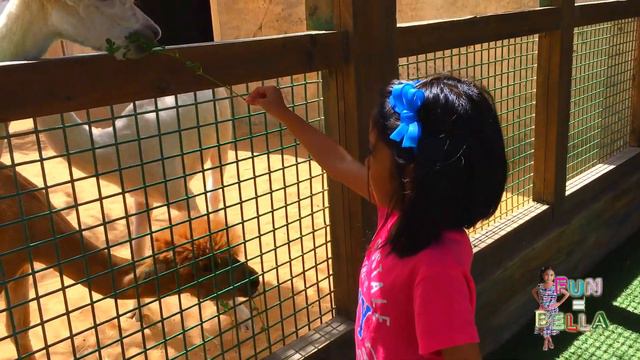 Ira and Bella Feed Giant Zoo Animals Elephants, Giraffes, Zebras | Zoo Adventure for Kids and Famil смотреть онлайн