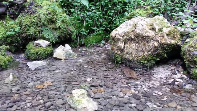 Замок Лихтенштайн. 26/07/2015 Так река Эхац берёт своё начало. (1) смотреть онлайн