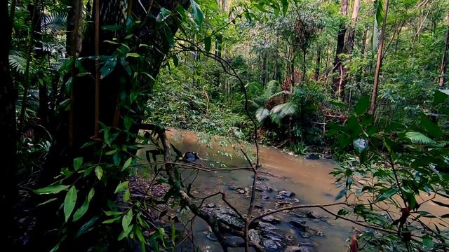МИНИ ДРАГА ?ДЛЯ ДОБЫЧИ ЗОЛОТА? СВОИМИ РУКАМИ ⛏? смотреть онлайн