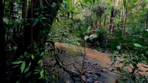 МИНИ ДРАГА ?ДЛЯ ДОБЫЧИ ЗОЛОТА? СВОИМИ РУКАМИ ⛏?