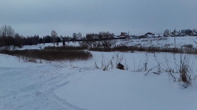 Stels 800 Витязь, Смоленск нет гор зато есть берега реки Нагать 2019(эта техника умеет прыгать) смотреть онлайн