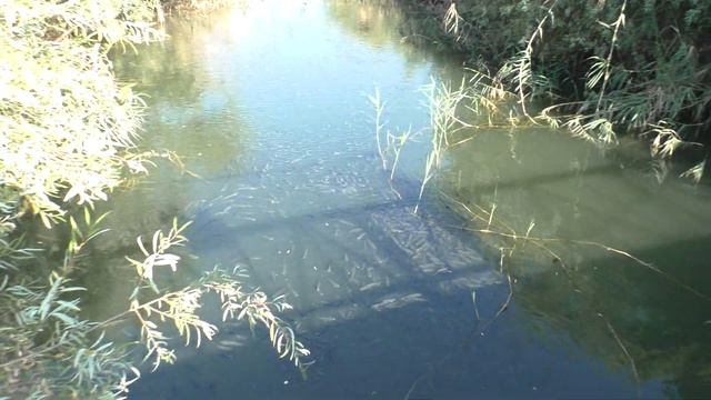 SUNIS ELITA Территория от отеля до пирса