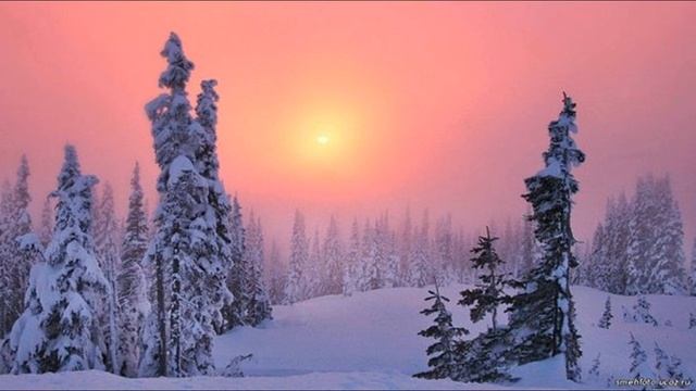 "Снежная - нежная сказка Зимы". Видеообзор смотреть онлайн