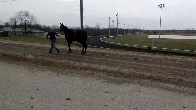 Abran Paso смотреть онлайн