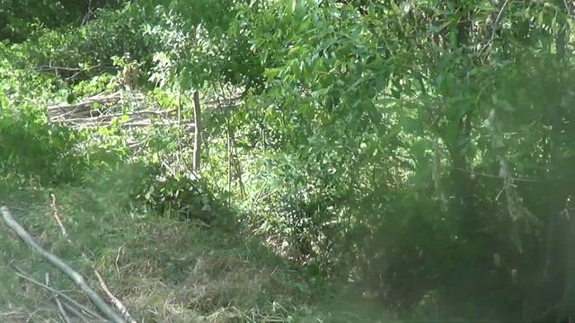 Строим дом Сами смотреть онлайн