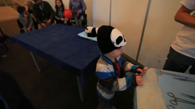 #СкелетыВДетскомШкафу Vlog 14 Фестиваль Науки смотреть онлайн