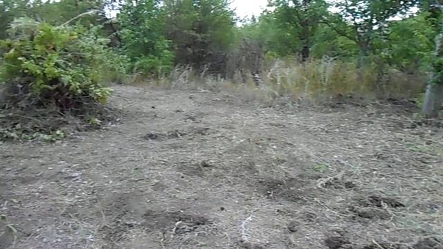 Очистка 9-го участка от поросли и заросли до вечера и старости _ (1 часть)