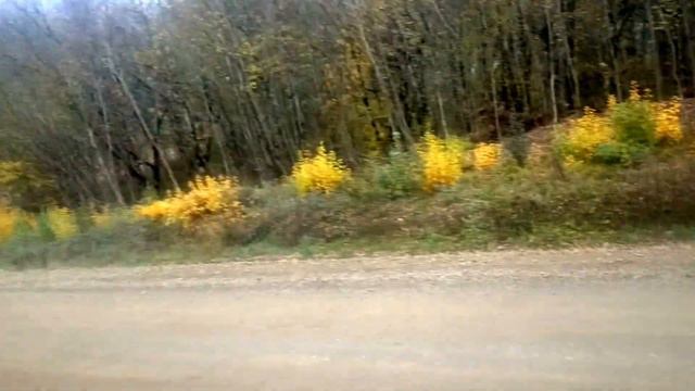 Ралли Горная гонка Чинары 2015 07.11.15 смотреть онлайн