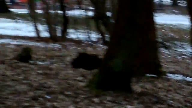 Идём сдавать кровь из пальца 2 часть смотреть онлайн