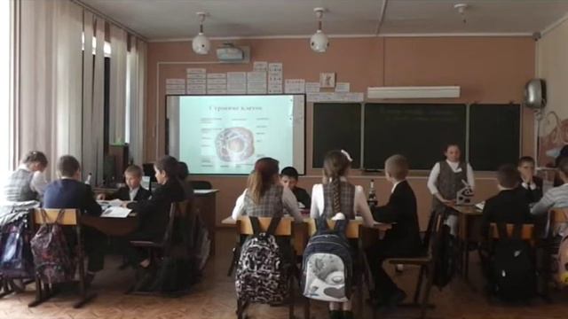 Клетка основа роста и строения смотреть онлайн