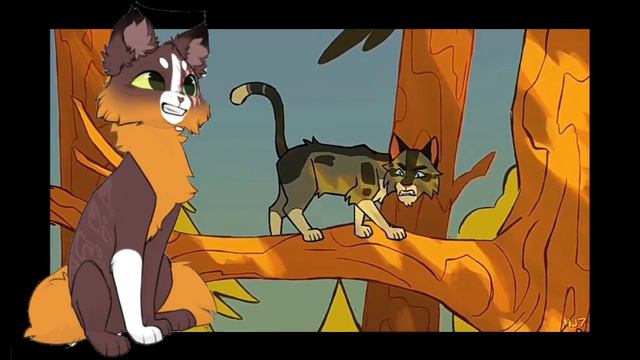 почему я перестала снимать реакции на Сью ? / коты воители / белолапка кв смотреть онлайн