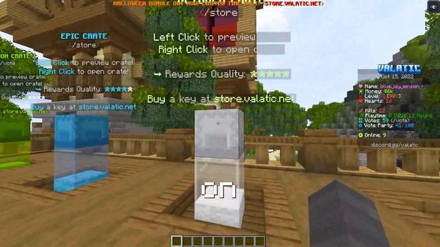 Brand NEW Public 1.19 Lifesteal SMP (free to join) смотреть онлайн