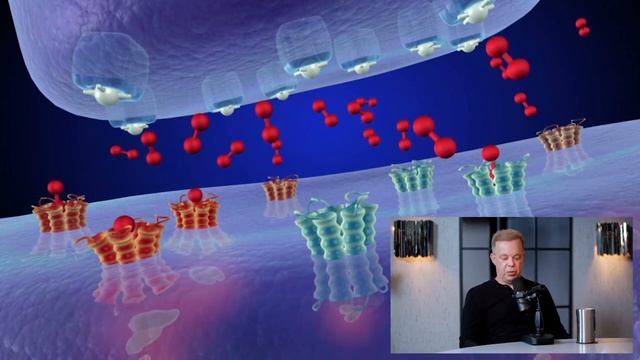 Джо Диспенза I Искусственный интеллект I О работе мозга смотреть онлайн