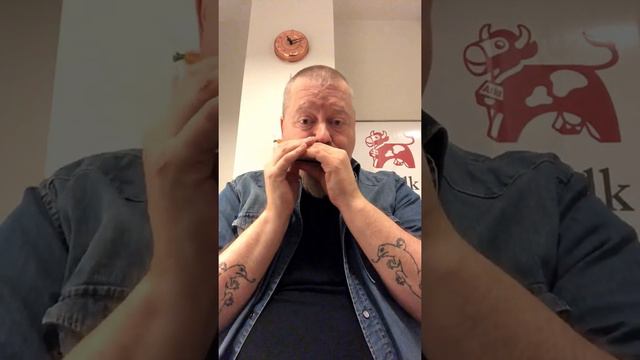 Roll Me Like a Wagon Wheel - blues harmonica смотреть онлайн
